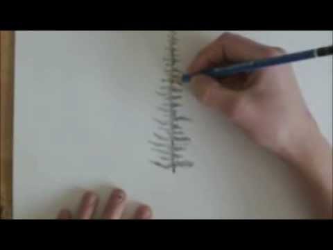 480x360 How To Draw A Spruce Tree