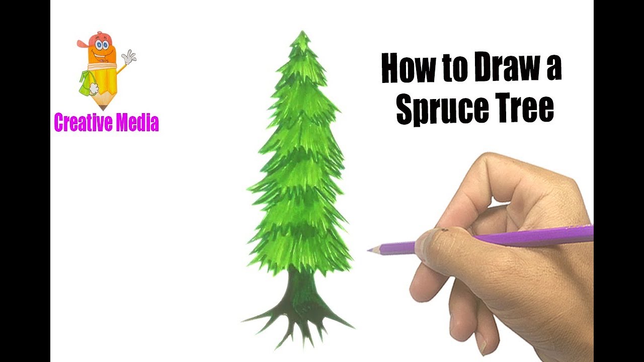 1280x720 How To Draw A Spruce Tree How To Draw And Coloring Pages How