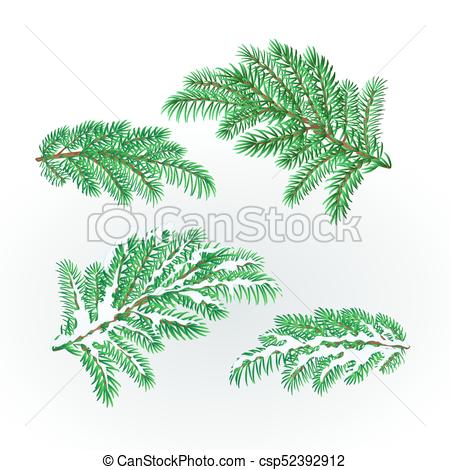 450x470 Spruce Branches Lush Conifer Autumnal And Winter Snowy Vector