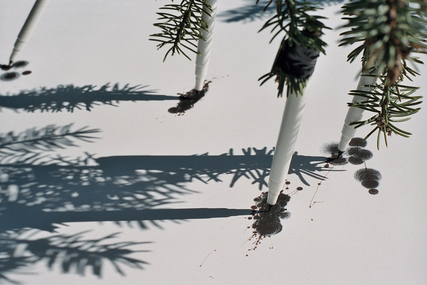 1417x945 Tim Knowles