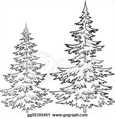 236x244 Evergreen Pine Tree Art, Spruce Tree, Forest, Woodland, Nature