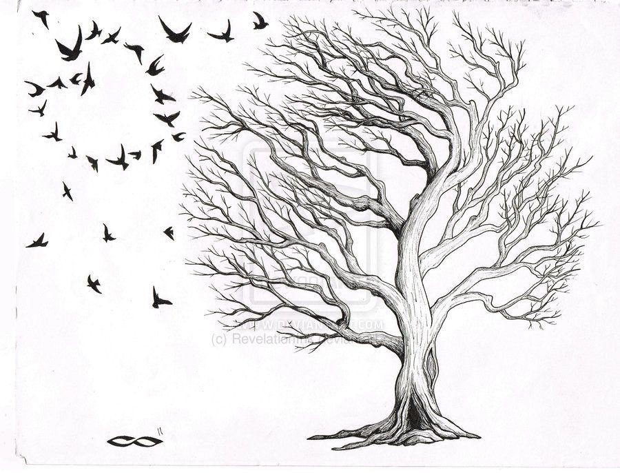 900x686 Oak Tree Tattoo