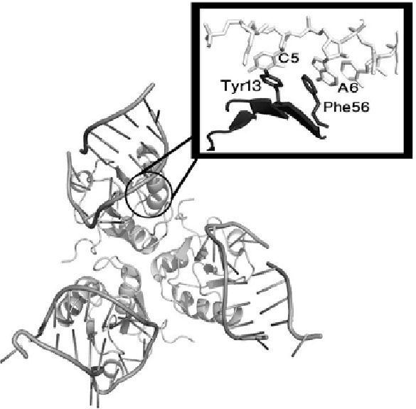 585x575 Stacking In Human U1a Spliceosomal Protein Rna Complex.