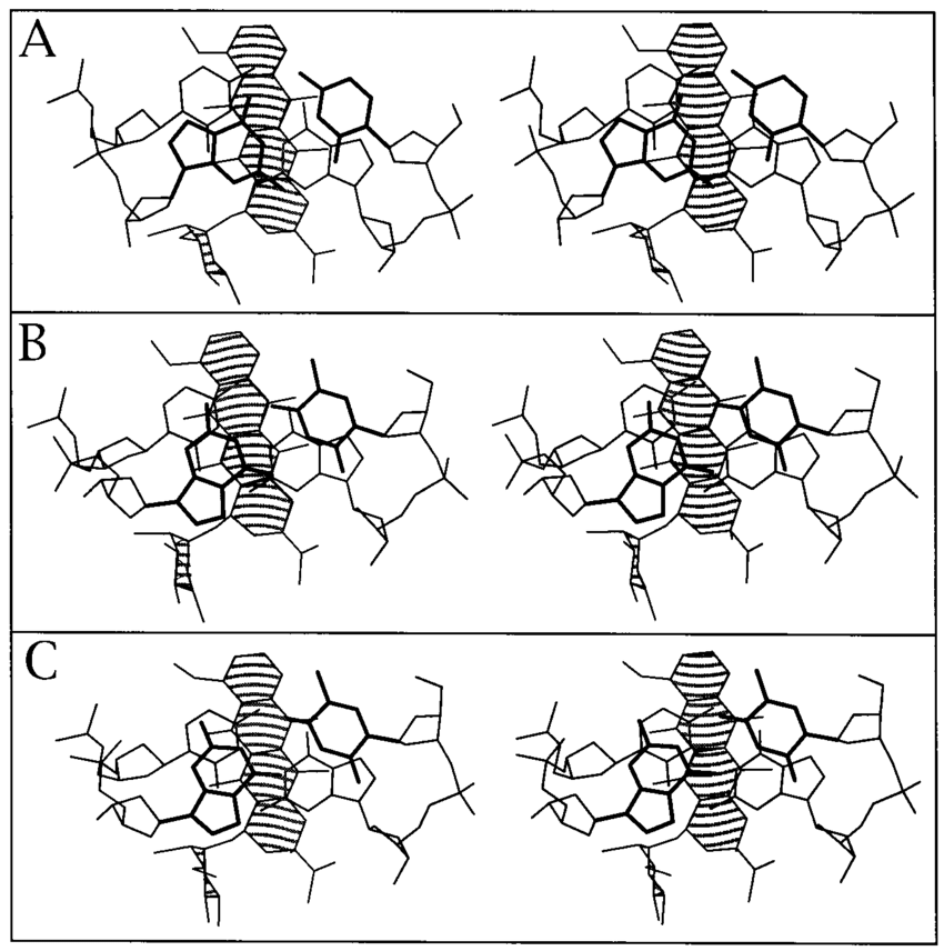 850x856 Stereoscopic Skeletal Drawing Of The Stacking Interactions Between