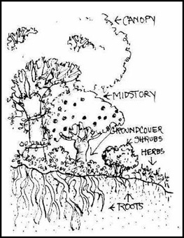 263x340 What Is Permaculture