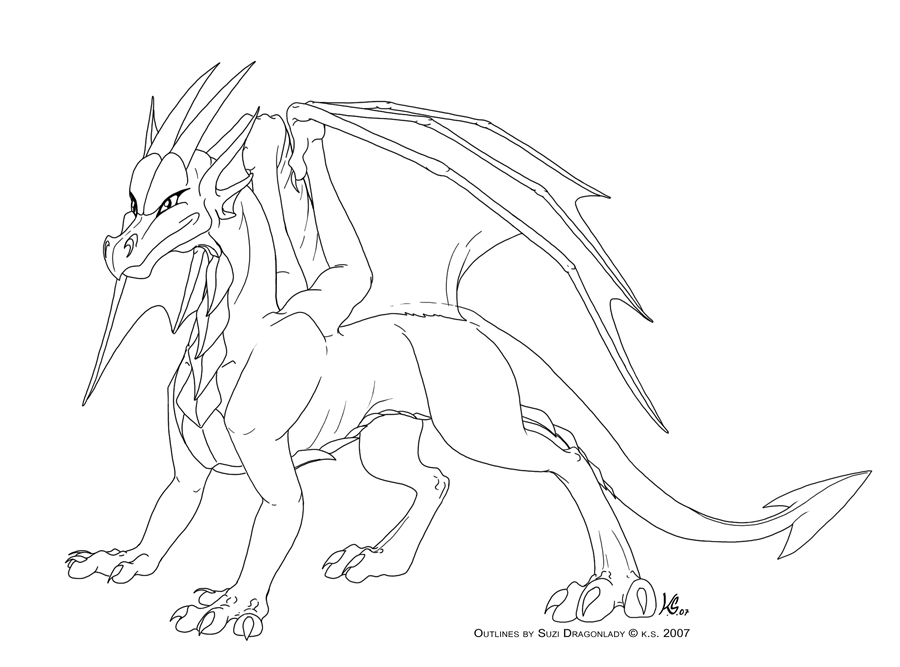 900x667 Free Standard Dragon Outlines By Suzidragonlady