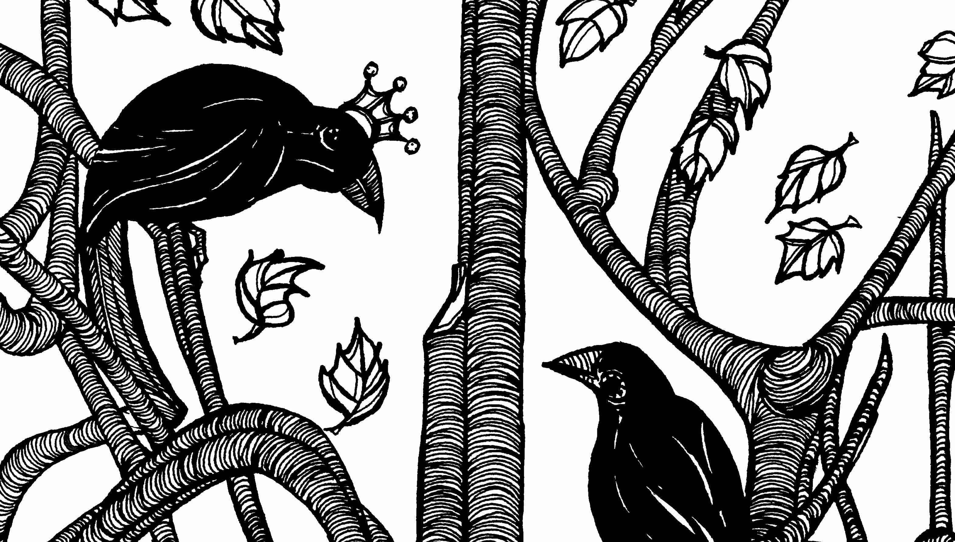 3138x1783 Standoffs And Battle Scenes Thanks For The Tip, Rob Edwards