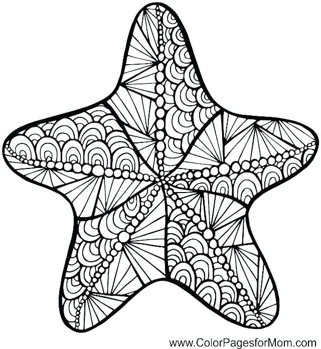 640x696 Starfish Clipart Black And White Inspirational Sea Star Drawing