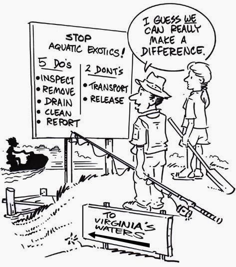 473x535 Virginia Water Radio June 2016