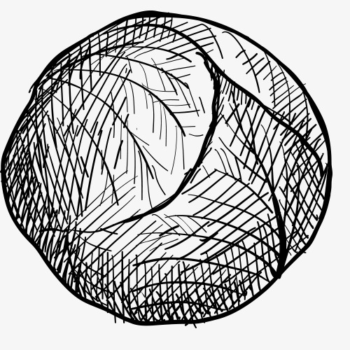 500x500 Pencil Drawing,fruits Vegetables,vegetables,sketch,black