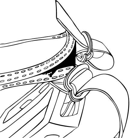 462x459 Strap Instructions Hold Fast