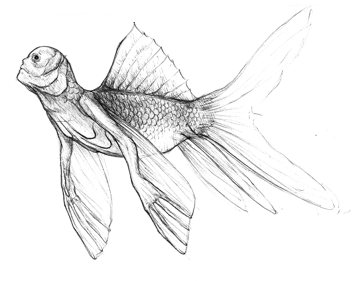 1200x933 Mermay 2017 On Behance