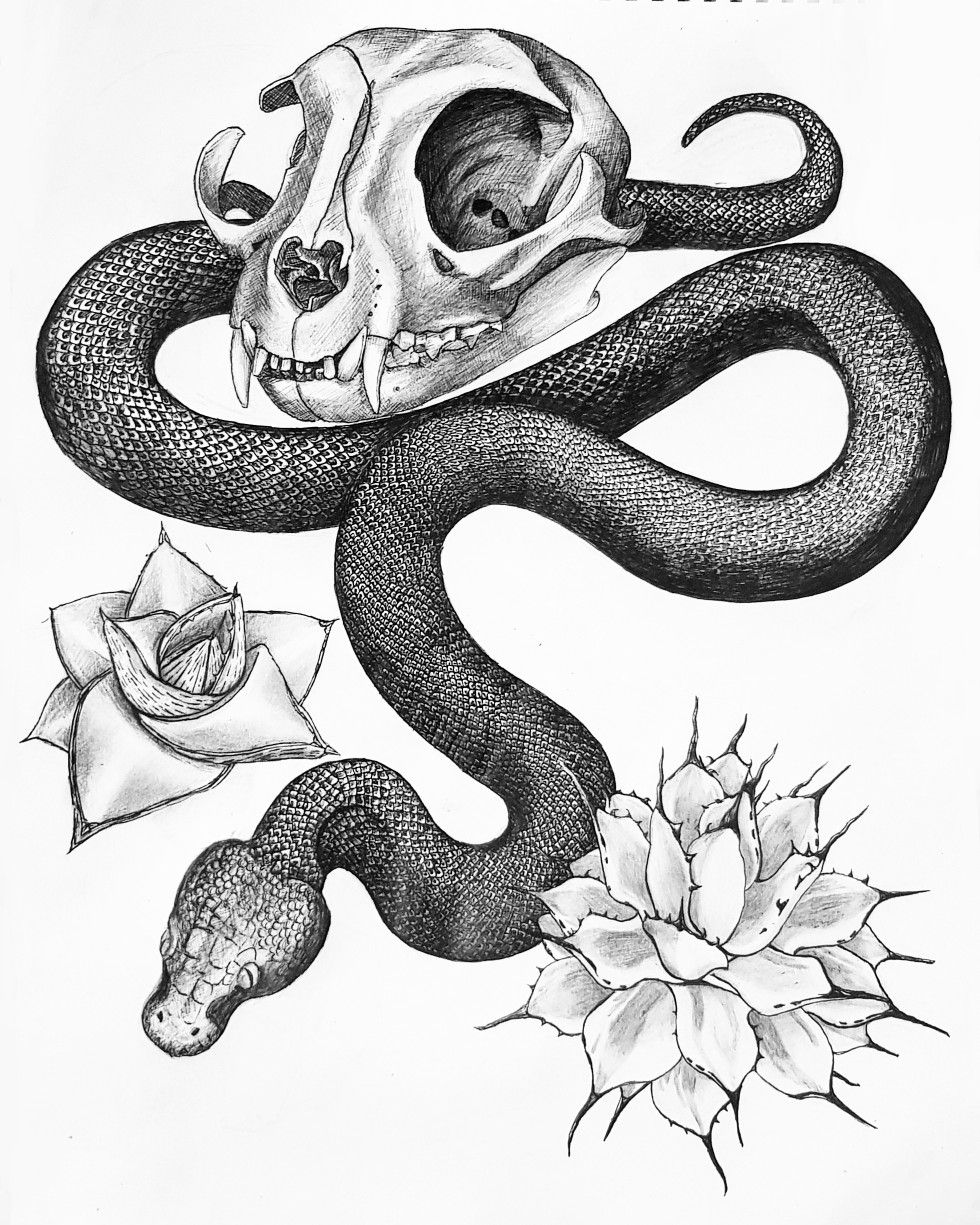 980x1225 Sketch Of Cats Skull Snake Agave By Claudia Sturgeon Ink