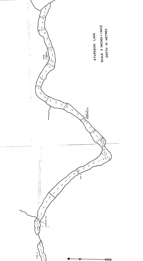 500x913 Sturgeon Lake, Saskatchewan Angler's Atlas