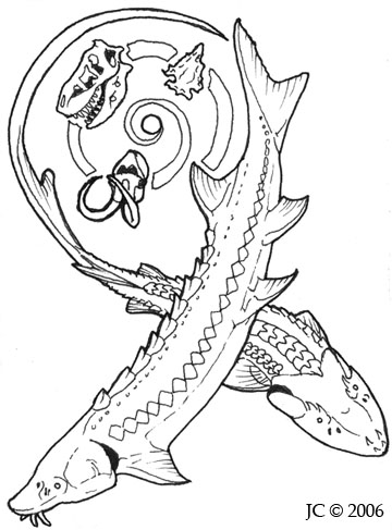 360x487 Sturgeon By Sagekorppi
