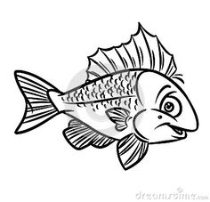 236x227 Sturgeon Fish Illustration Coloring Pages Fish Coloring Pages By
