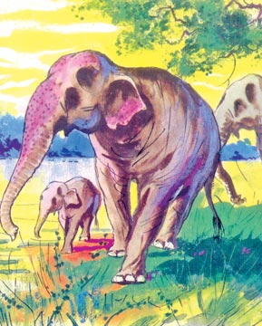 289x360 Collection Of Subject Drawing In Watercolor High Quality