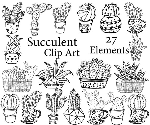570x475 Succulent Clipart Cactus Clipart Doodle Cactus