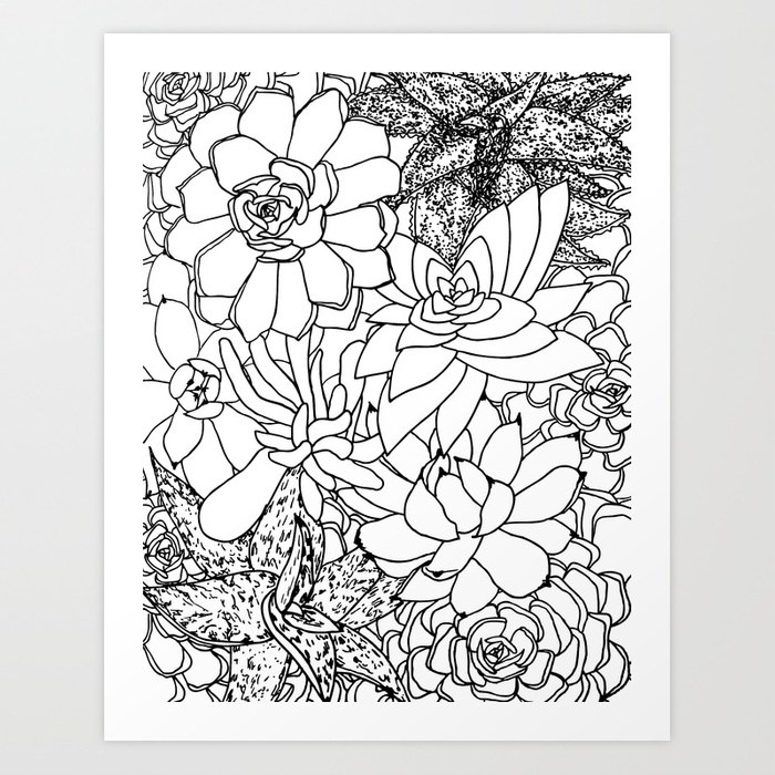700x700 Succulent Line Drawing Art Print By Christianalois Society6