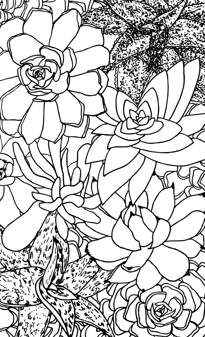 700x1149 Succulent Line Drawing Window Curtains By Christianalois Society6