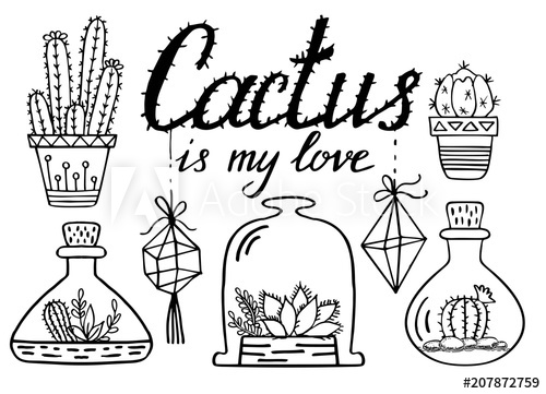 500x361 Cacti And Succulents Line Drawing. Cactus Doodle Set. Plants