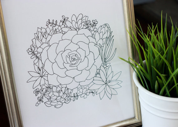 570x407 Succulent Bouquet Line Drawing Reproduction From Original Ink