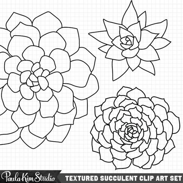 600x600 Grungy Succulents Paula Kim Studio