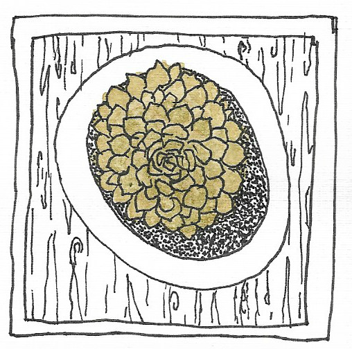 508x504 The World's Best Photos Of Succulent And Watercolor