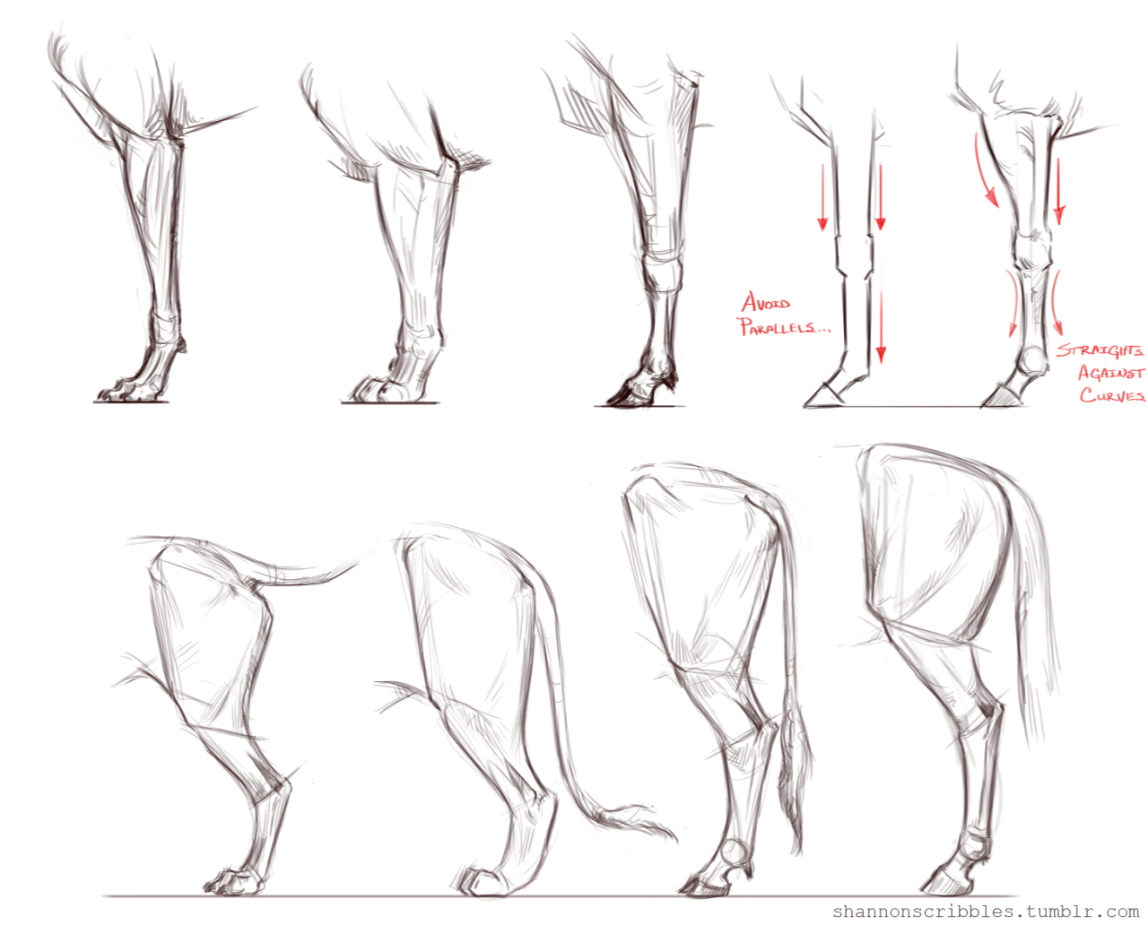 1280x1032 Reworking Cgma Animal Drawing Course