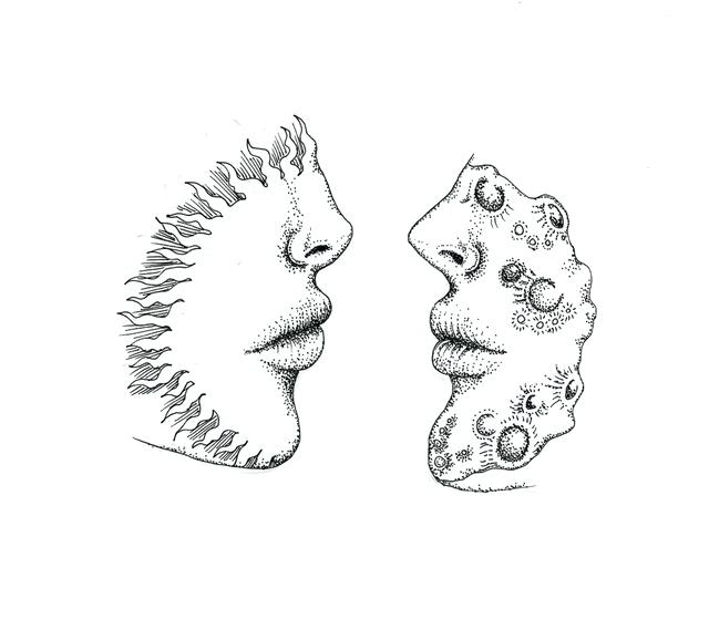 640x578 Tumblr Plant Drawings And Chill Gardenia Essential Oil