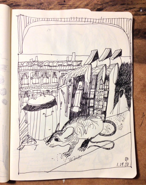 500x632 Sunday Drawing