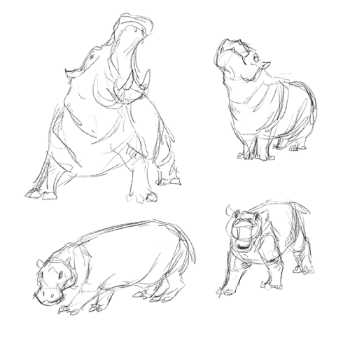 500x500 Animal Gesture Tumblr