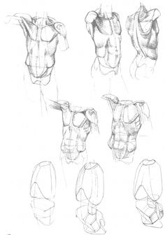 236x336 Drawing Planes Of The Hand Drawing The Life Force Sustained