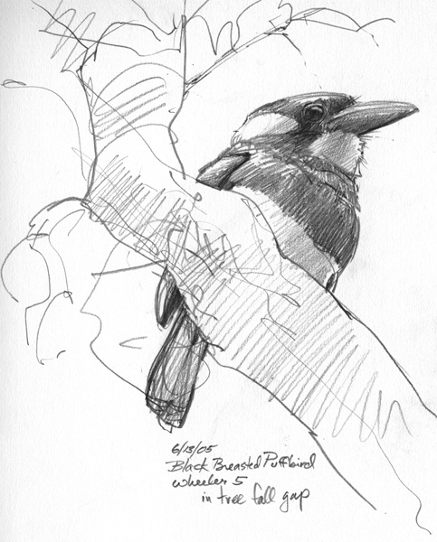 483x600 47 Best Gestural Drawing Images On Gesture Drawing