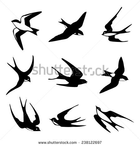 450x470 Drawn Swallow