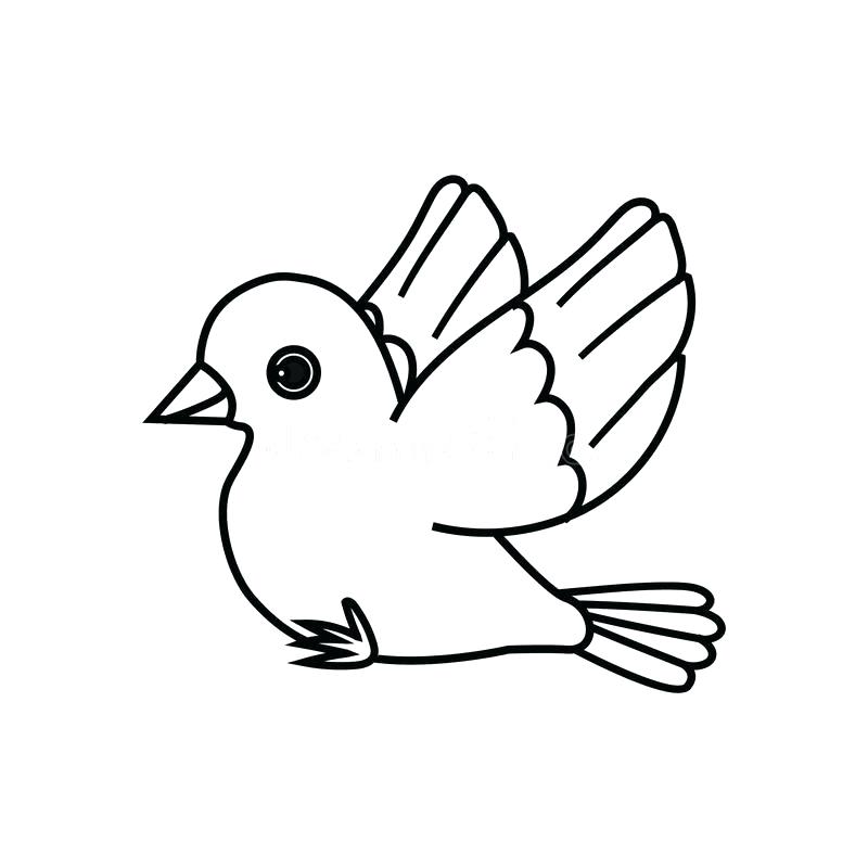 Swallow Outline Drawing at GetDrawings | Free download