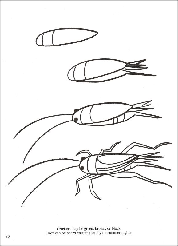 579x800 How To Draw Insects, Dover Publications, 002747