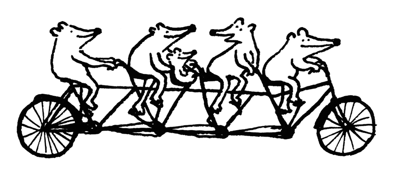 800x359 Velopresso Beasts On Bikes Daisy Hirst