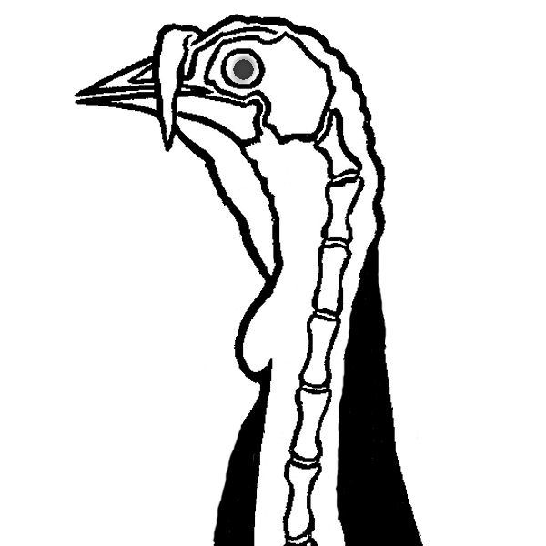 600x600 Shotguns Free Turkey Patterning Target Black And White With Eye