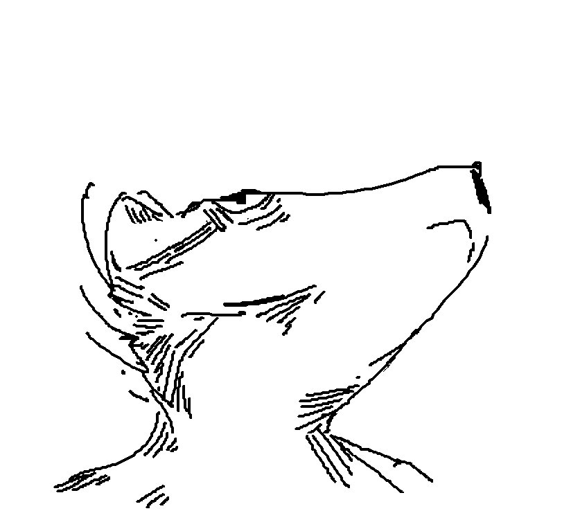 824x764 Taste Disposal (@sarrukh) Twitter