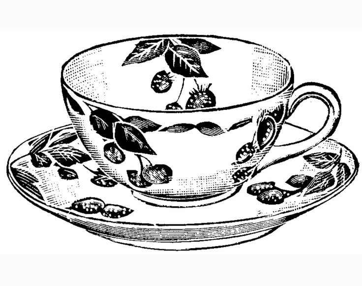 736x581 Collection Of Fancy Teacup Drawing High Quality, Free