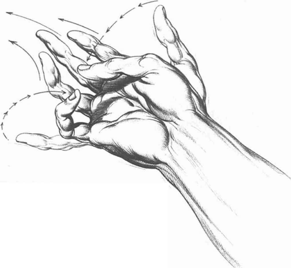 1016x936 Visual Tension