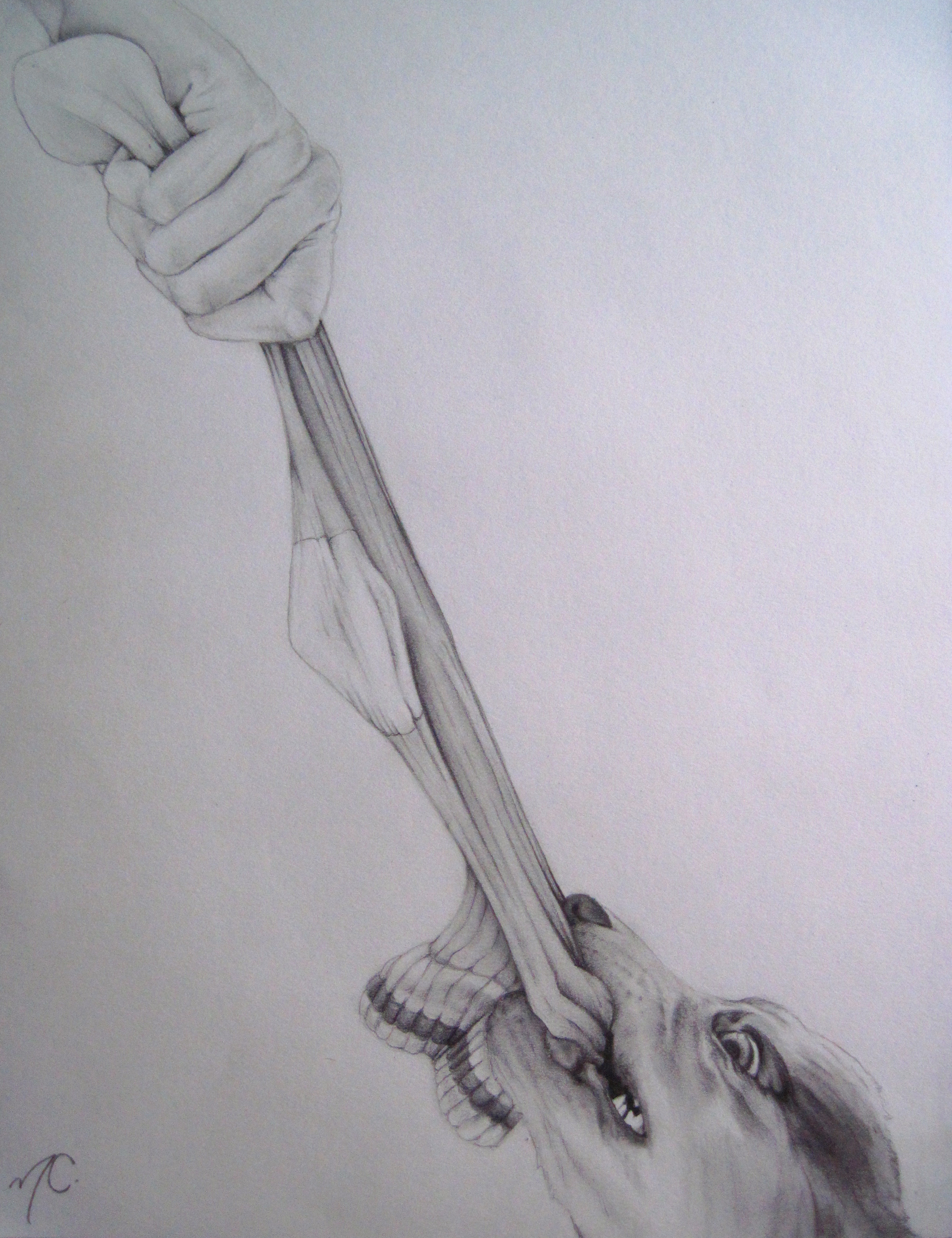 2921x3799 Puppy Tug Of War Artwork By Natalie Cormier