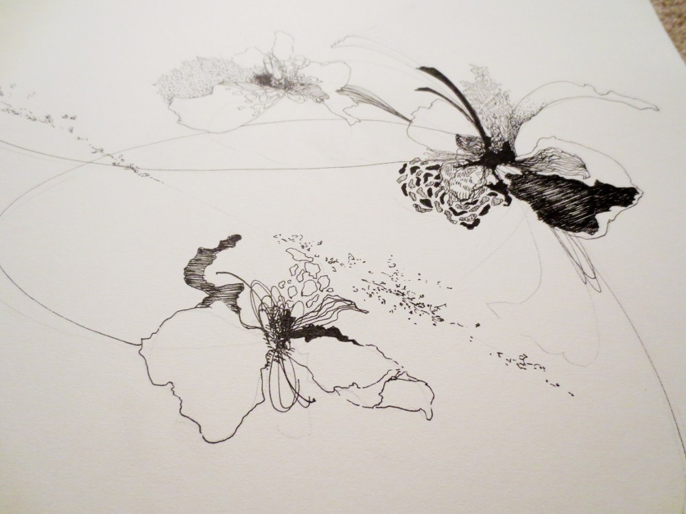 1000x750 Drawing My Future Tide Amp Bloom