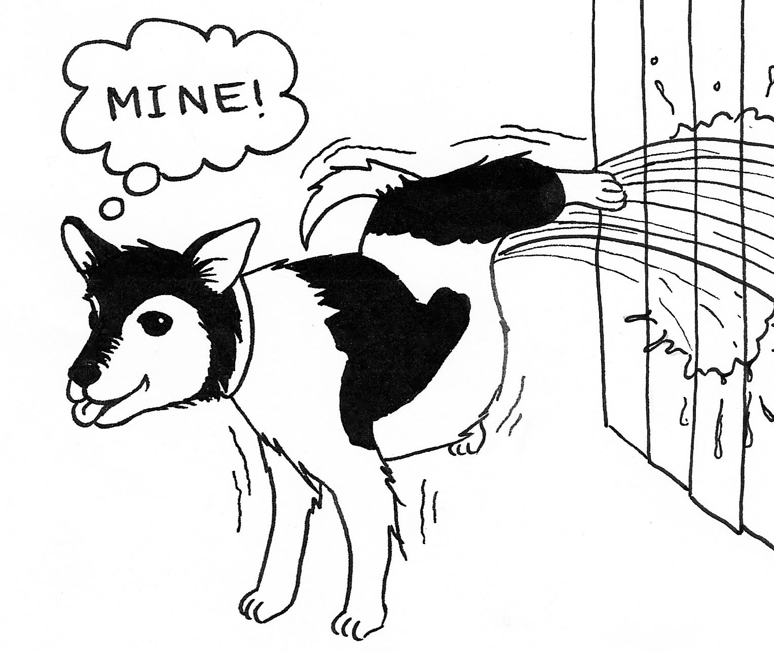 1527x1286 Dog How The Light Gets