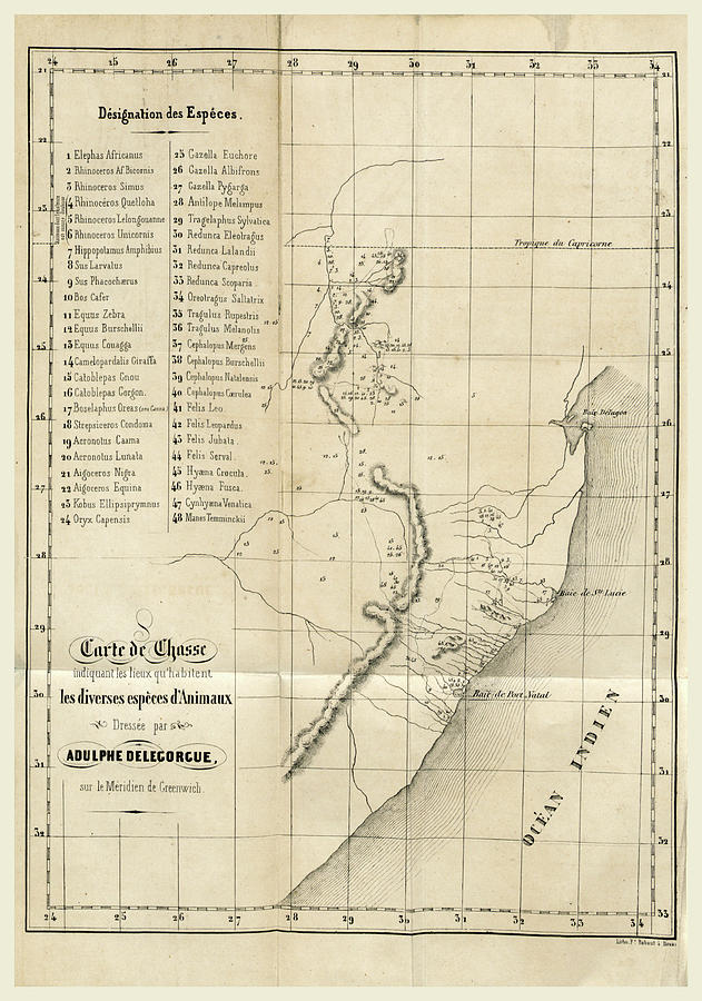 631x900 Travel In Southern Africa, Especially In The Territory Drawing By