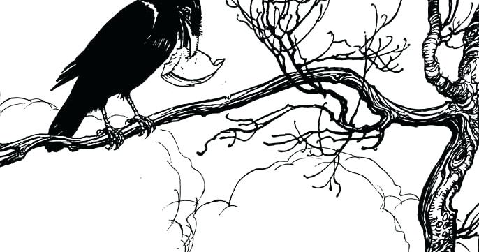 686x361 Crows Drawing Crows Bird Drawing Bird Crow Drawing Images