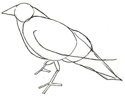 400x307 Draw Crow Crows Crows, Draw And Painting Techniques