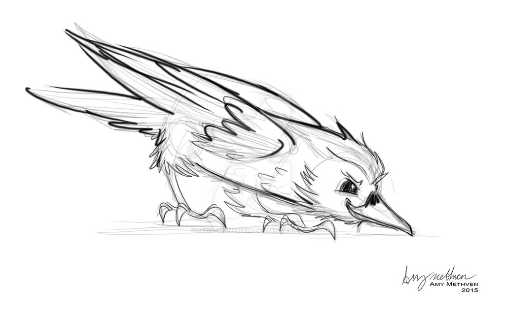 1024x636 Crow Sketch By Mad Munchkin