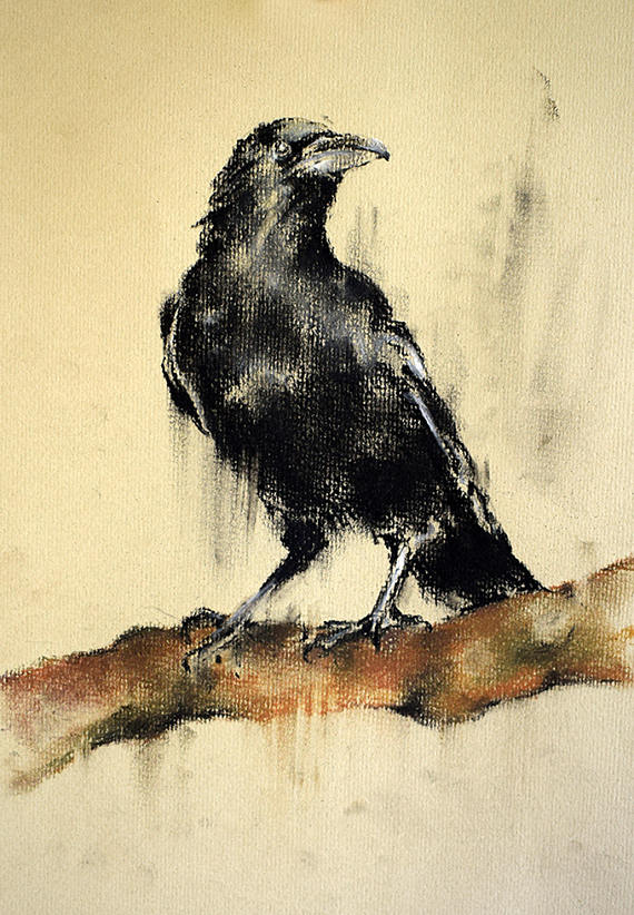 570x822 Original Crow Drawing Raven On A Branch Charcoal Drawing